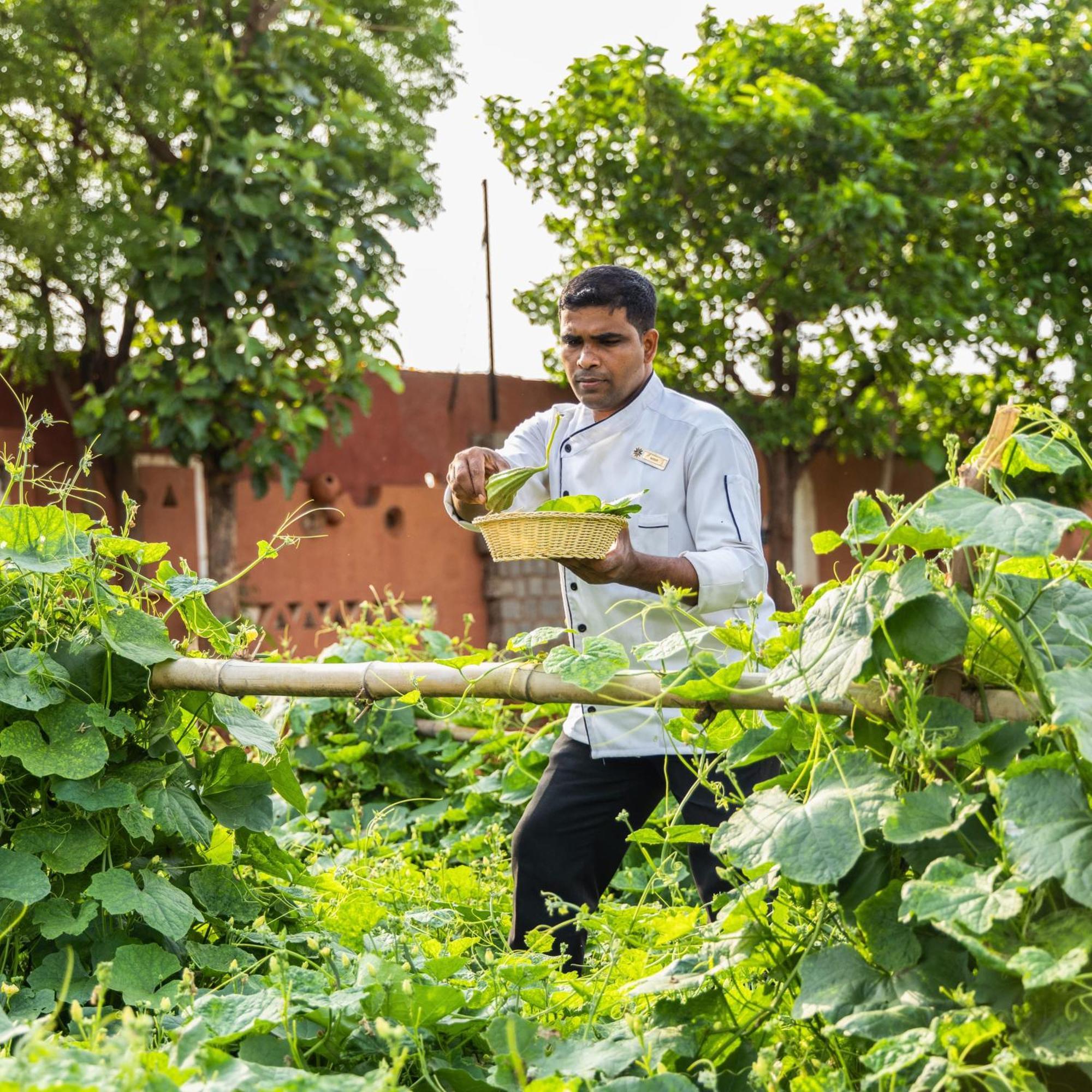 Vijayshree Resort, Hampi Luaran gambar